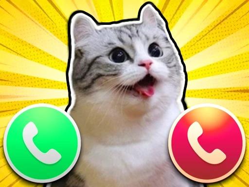 Kedi Komaru