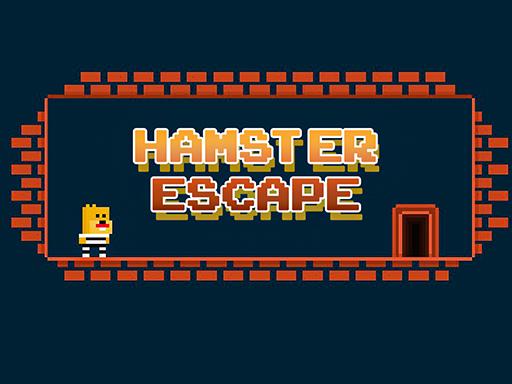 Hamster Hapisten Kaçış